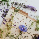 pexels-karola-g-4871288